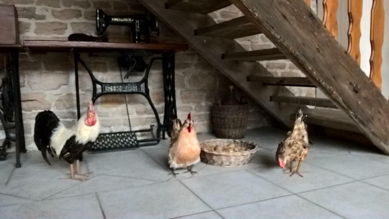 La Ferme Du Grand Faubourg Pont-de-Vaux Exterior foto